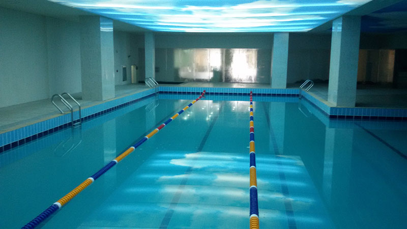 �(y��ng)߉��¹�W�w�҃�(n��i)��Ӿ��